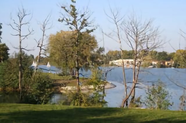 N-E View