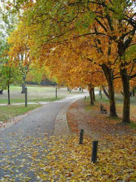 NEUVILLE SUR OISE - Automne