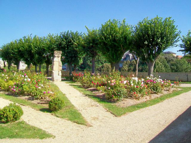 La roseraie dans le jardin de l'Hôtel de ville, dominant le rempart nord.