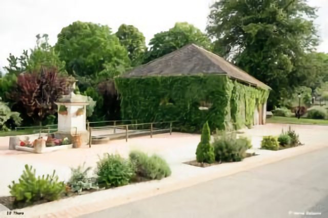 Lavoir de Thors (10)