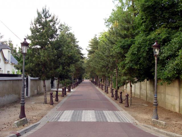 L'avenue des Sapins à Beauchamp (Val-d'Oise), France