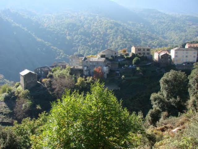 Castagnccia Piedipartino