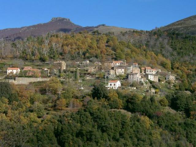 Loriani