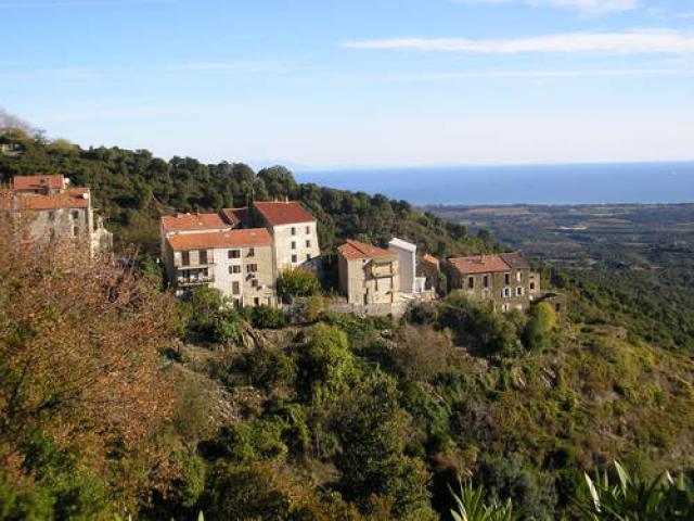 Monte
