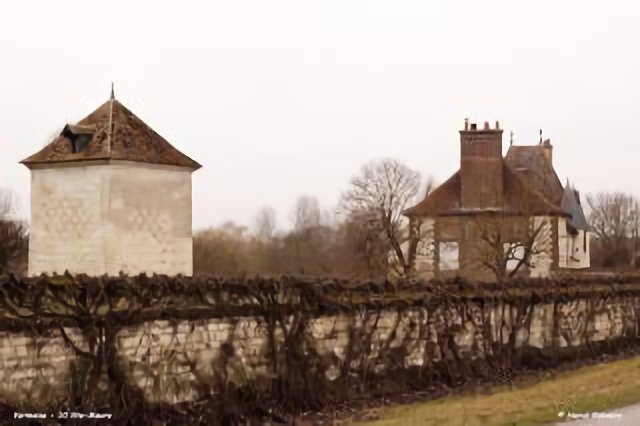 10 Ste-Maure - Pigeonnier Vermoise Château