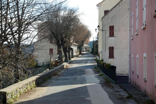 Pietraserena, Castagniccia (Haute-Corse) - La rue principale du village ou route D14