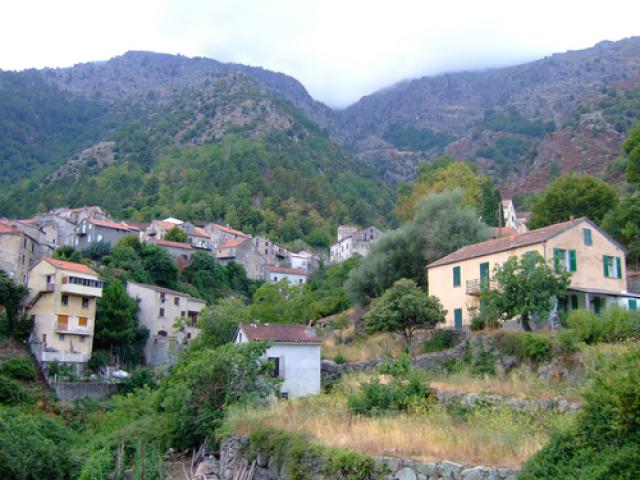 Venacu