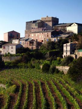 Morsiglia (Corsica) - Stanti
