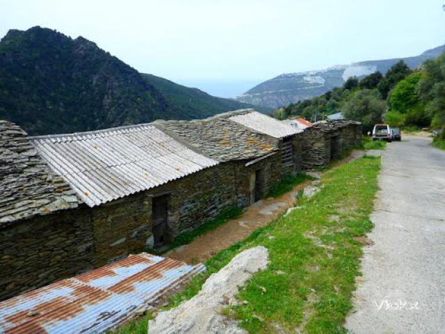 Corsica on Bike - Olcani