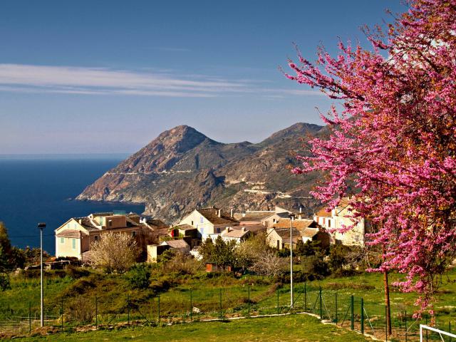Canari (Corsica) - Hameau de Chine et Monte Minerviu