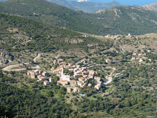 Palasca