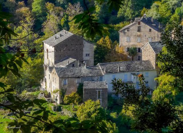 Perdu dans la nature : Volpajola