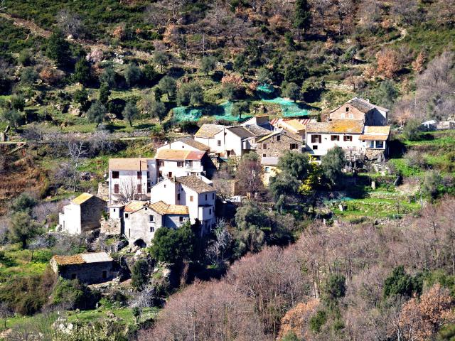 Campitello, Costere (Corse) - Hameau de Panicale