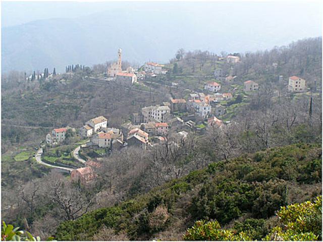 campile1