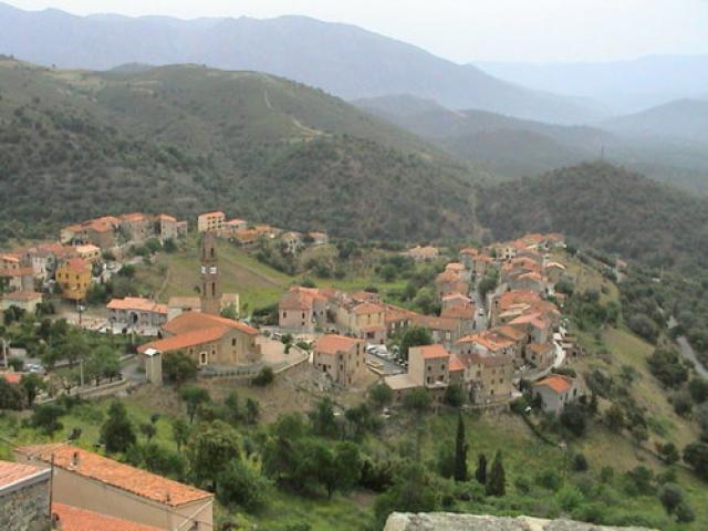 moltifao