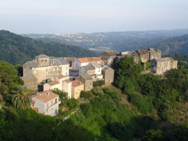 Orneto