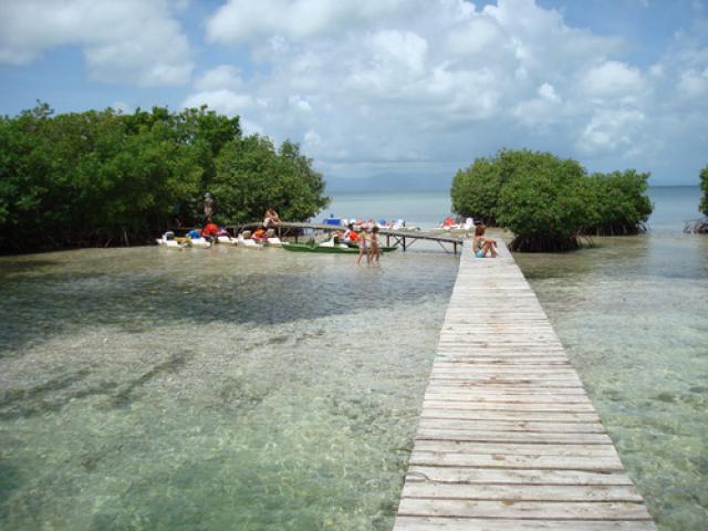 Visite de la mangrove 01