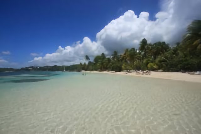 Plage de la Caravelle à Sainte-Anne (© Loïc DOUILLET)