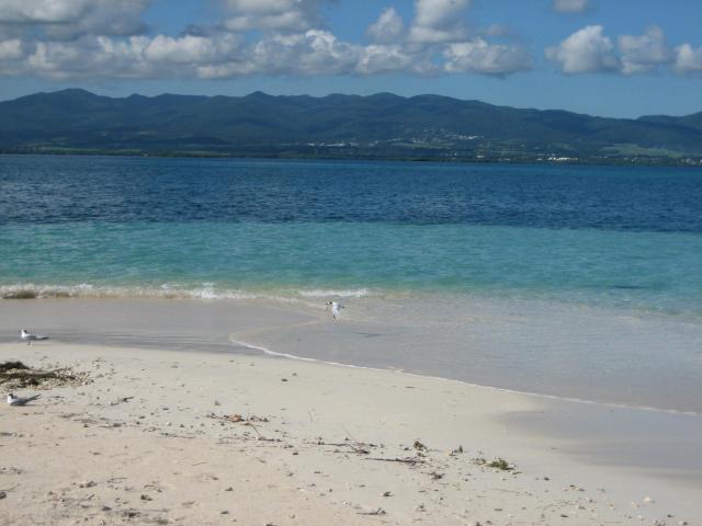 L'île de Basse-Terre vue depuis l'ilet Caret (Sainte-Rose, Guadeloupe, France).