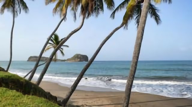 Le Robert Beach