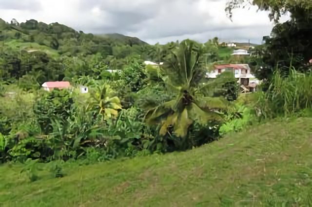 jmp-Saint-Joseph