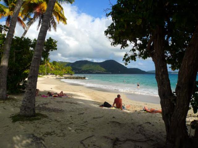 MARTINIQUE PLAGE PRES DE SAINTE LUCE (01 2010)
