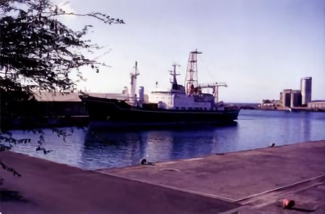 Le Port Ouest