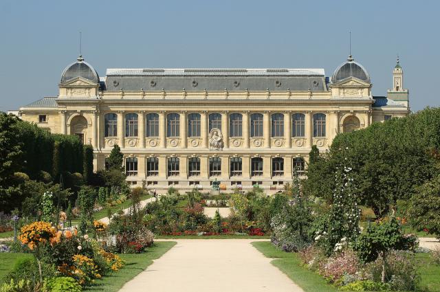 Vue en perspective de la grande galerie de l'Évolution et du Jardin des plantes, à Paris.