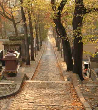 Français : Avenue latérale du Nord en automne, cimetière du Père-Lachaise, Paris, France.