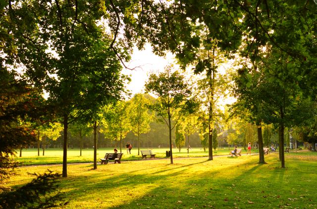 Parc de la Tête d'Or de Lyon - Vue des pelouses de la coupole