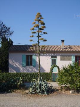 Canal de Jonction, Ecluse de Cesse (rs)