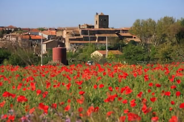 Peyriac-Minervois