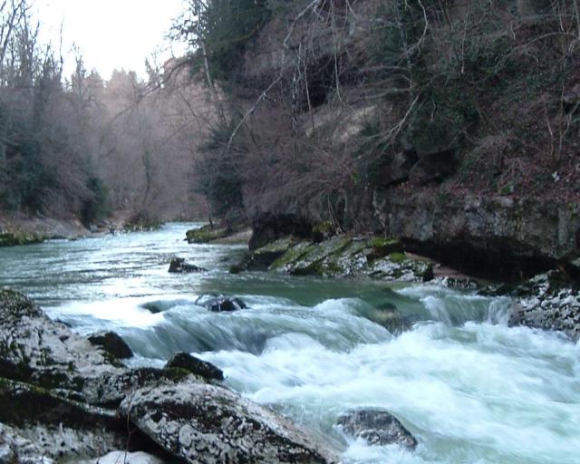 La Valserine à Bellegarde (Ain)