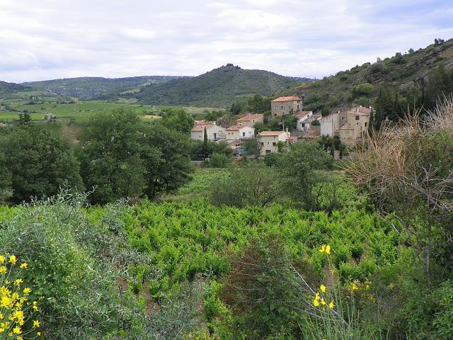 Vue de Villeneuve-les-Corbières et de ses vignes