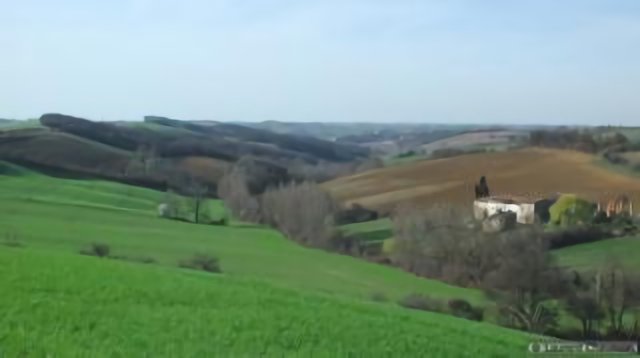Vallon de la Motte