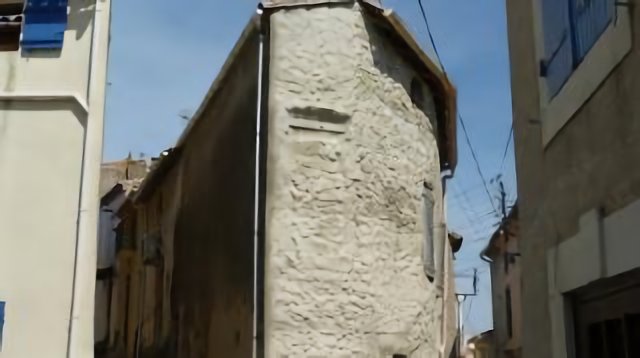 Paraza
