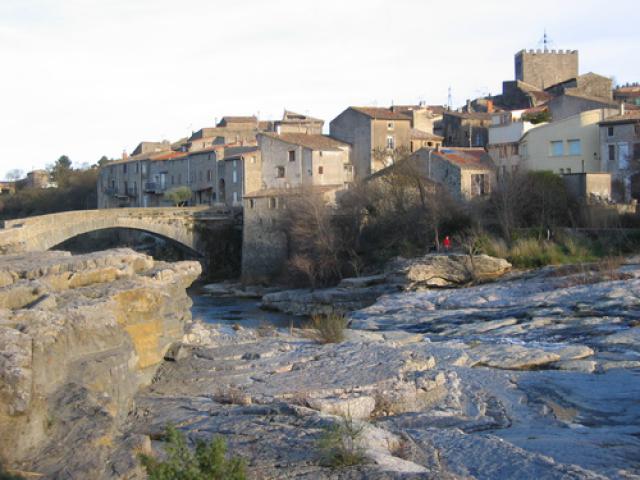Ribaute
