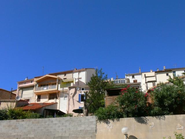 Paraza
