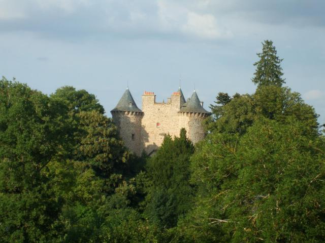 Vue du château de Planèze derrière les arbres