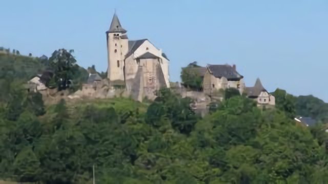 Auzits from D11