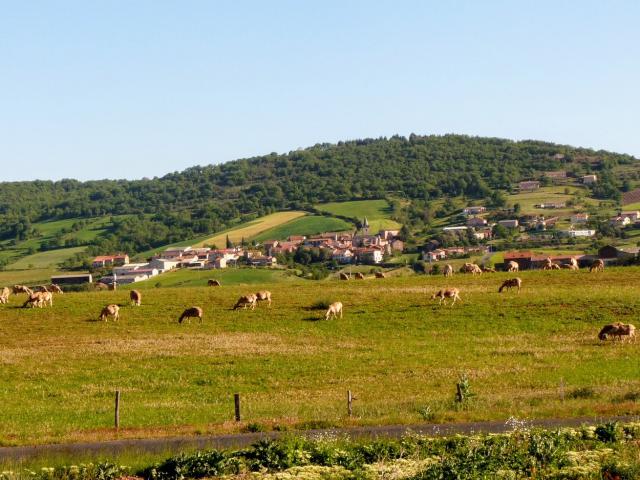 Vue générale de Rebourguil (Aveyron) depuis la D999