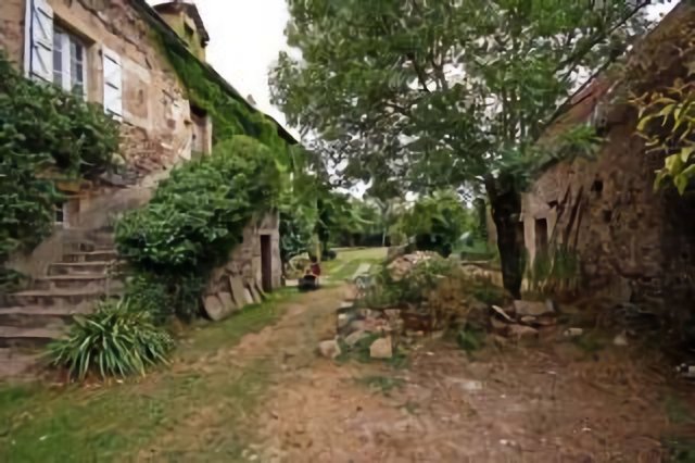 250 years old Finca