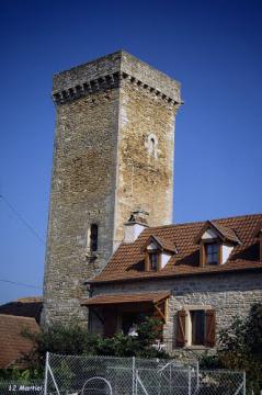 12 Martiel - Donjon (1996)