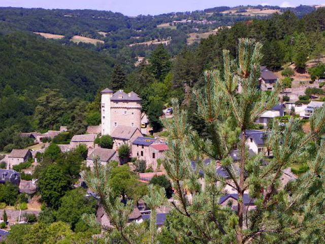 ST-LEONS - le château.