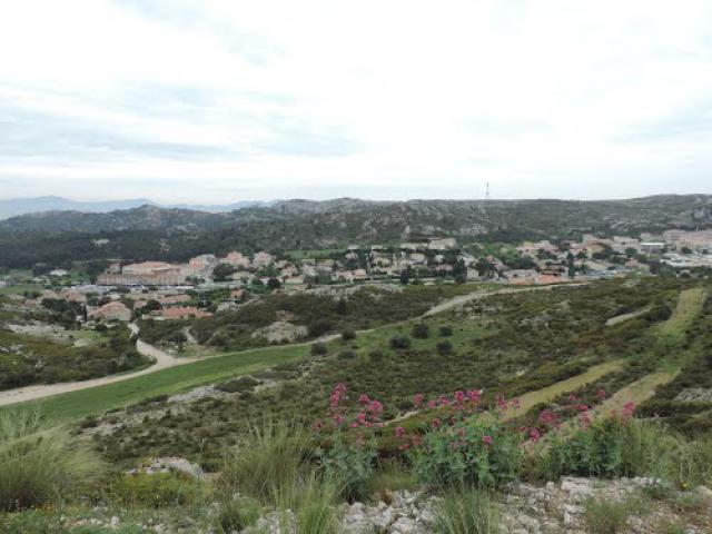 Le Rove