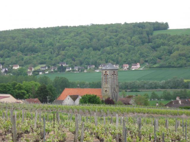 Vignobles et église St-Sébastien de Saulchery (Aisne , région Picardie)