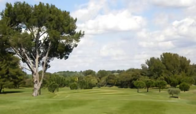 Green 14