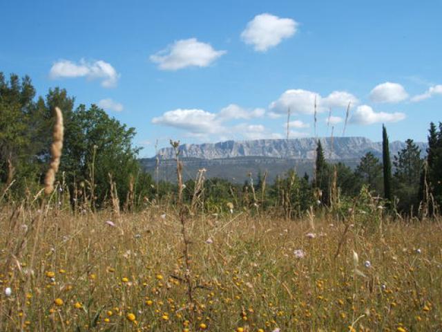 Sainte Victoire_2