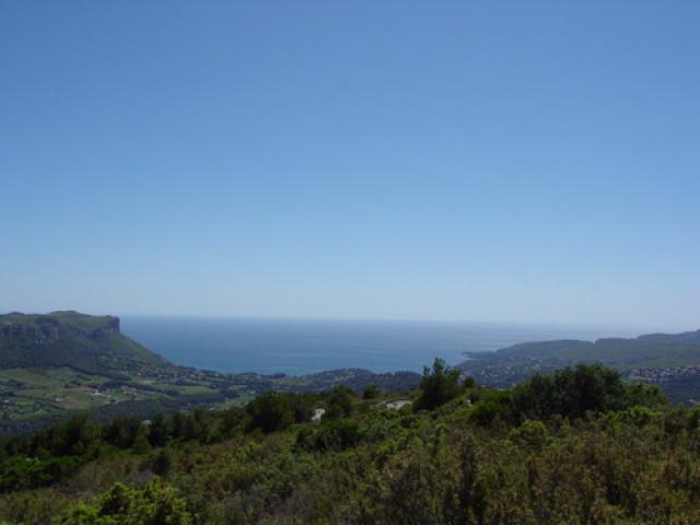 Cassis from north
