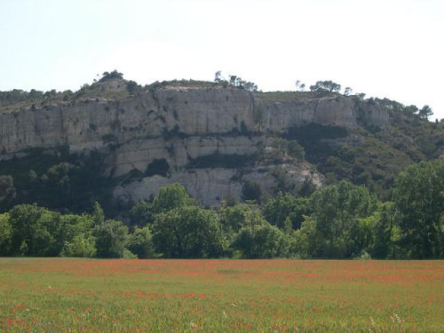 sur la route de la fare les oliviers